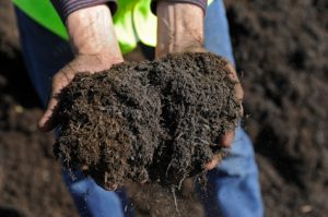 Read more about the article Why Soil Aeration Is Important