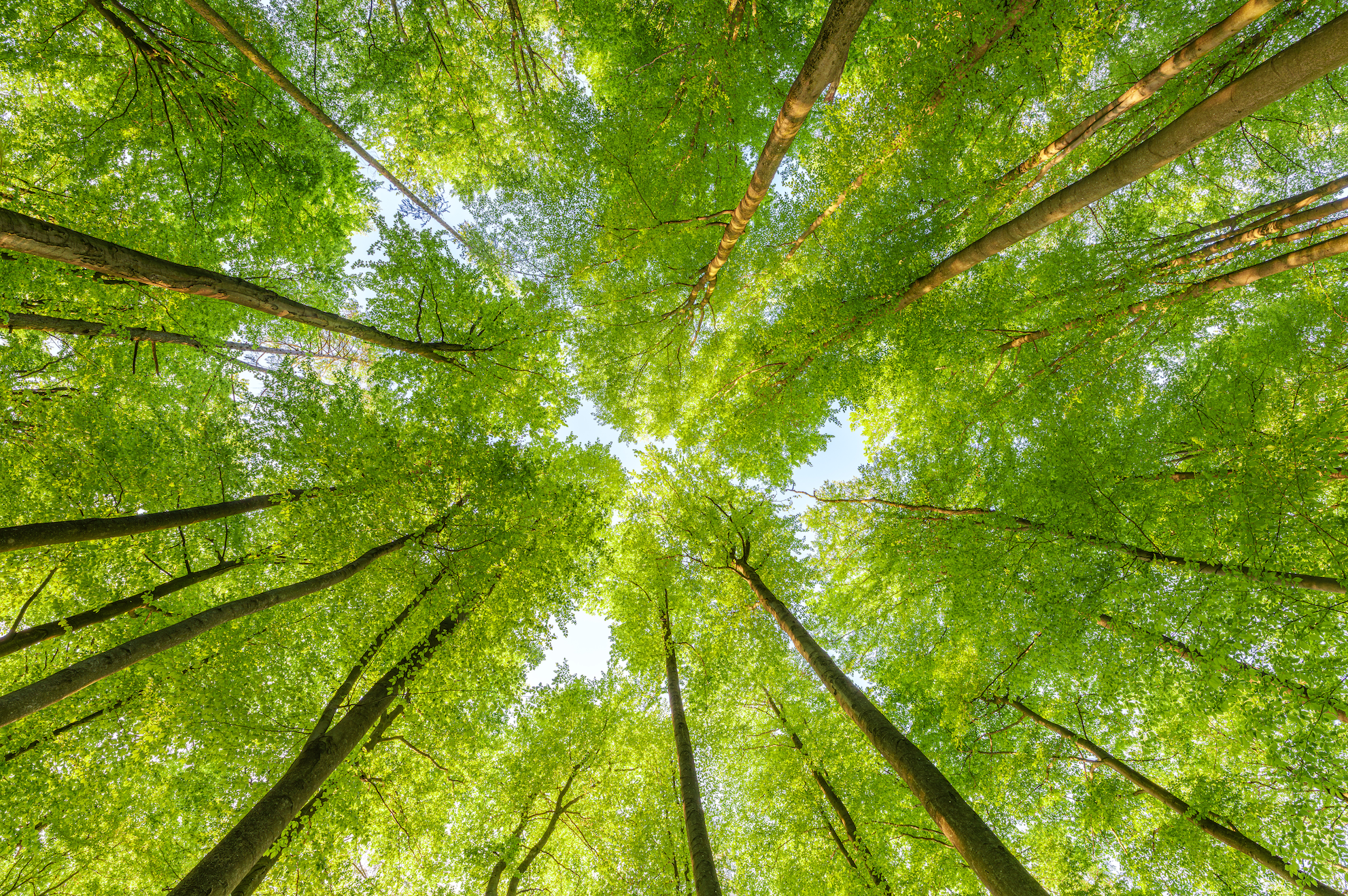 You are currently viewing Sustainable Landscaping – The Future of Commercial Landscapes