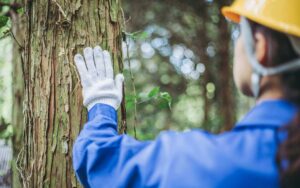 Read more about the article Fall Tree Prep & Maintenance Guide for Houston Properties