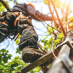 Raising the Bar in 2026: Service, Safety, and Communication in Tree Care