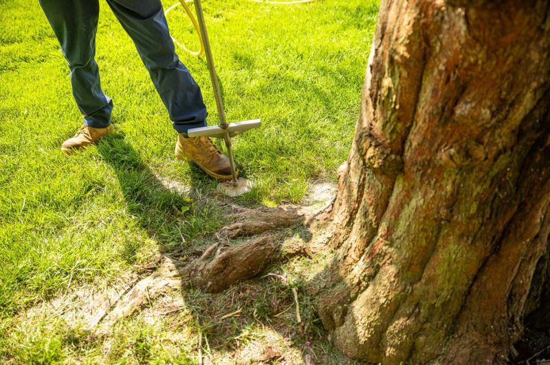 Read more about the article April Growth Starts Below Ground: Why Deep Root Fertilization Matters for Houston Trees